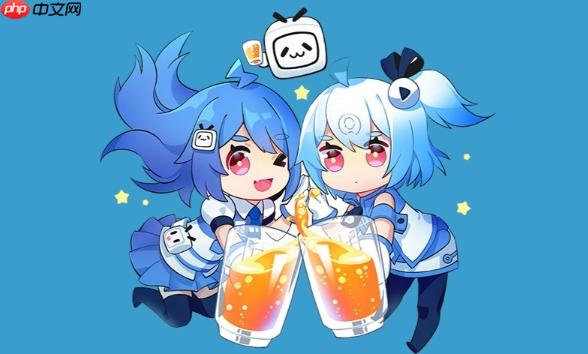 bilibili网页版链接 bilibili官网地址