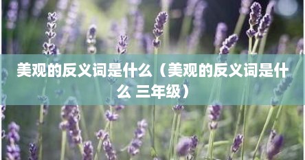 美观的反义词是什么（美观的反义词是什么 三年级）
