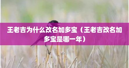 王老吉为什么改名加多宝（王老吉改名加多宝是哪一年）