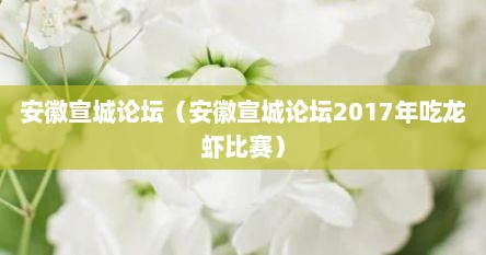 安徽宣城论坛（安徽宣城论坛2017年吃龙虾比赛）