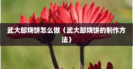 武大郎烧饼怎么做（武大郎烧饼的制作方法）