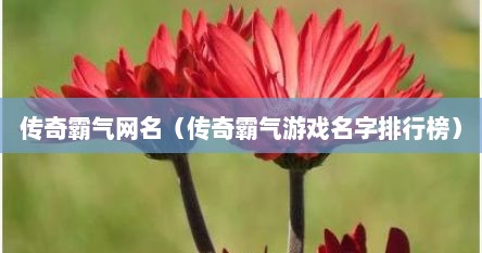 传奇霸气网名（传奇霸气游戏名字排行榜）