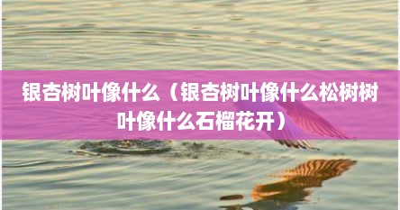 银杏树叶像什么（银杏树叶像什么松树树叶像什么石榴花开）