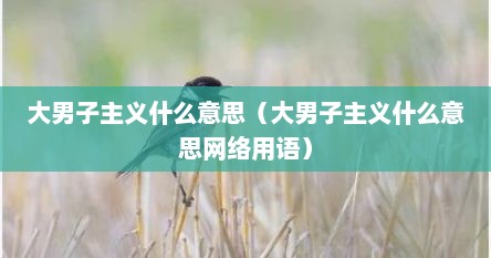 大男子主义什么意思（大男子主义什么意思网络用语）
