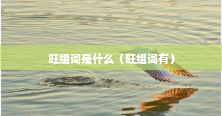 旺组词是什么（旺组词有）