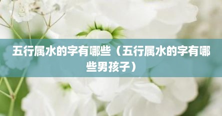 五行属水的字有哪些（五行属水的字有哪些男孩子）