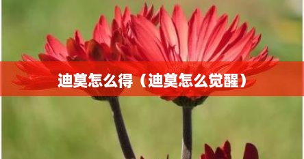 迪莫怎么得（迪莫怎么觉醒）