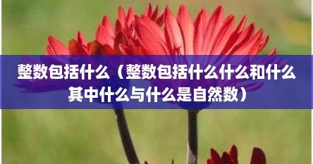 整数包括什么（整数包括什么什么和什么其中什么与什么是自然数）