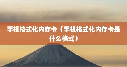 手机格式化内存卡（手机格式化内存卡是什么格式）