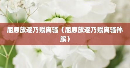 屈原放逐乃赋离骚（屈原放逐乃赋离骚孙膑）