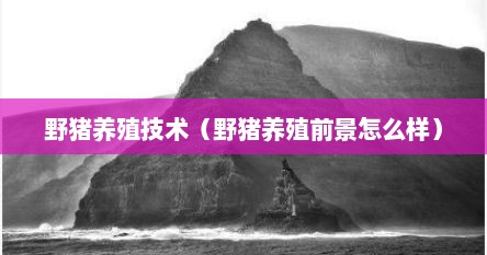 野猪养殖技术（野猪养殖前景怎么样）