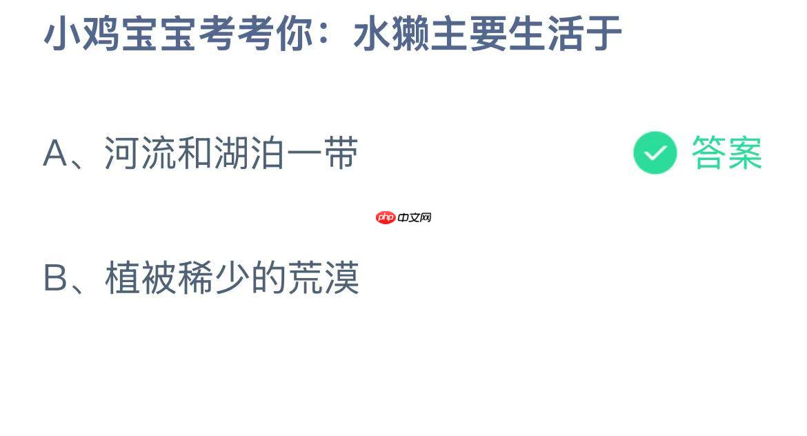小鸡宝宝考考你:水獭主要生活于？蚂蚁庄园答案最新11.23