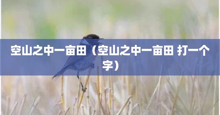 空山之中一亩田（空山之中一亩田 打一个字）