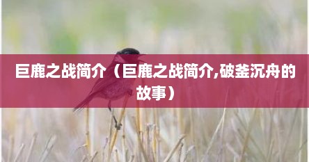 巨鹿之战简介（巨鹿之战简介,破釜沉舟的故事）