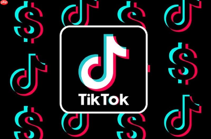 tiktok一键直达入口 官方在线浏览入口