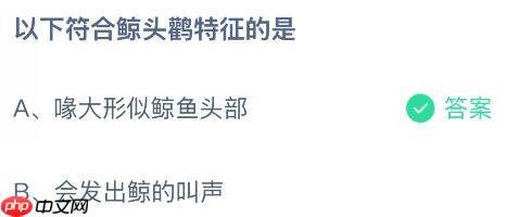 以下符合鲸头鹳特征的是什么？蚂蚁庄园今日答案最新11.27