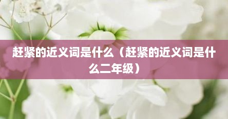 赶紧的近义词是什么（赶紧的近义词是什么二年级）