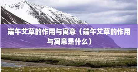 端午艾草的作用与寓意（端午艾草的作用与寓意是什么）