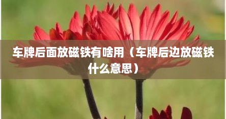 车牌后面放磁铁有啥用（车牌后边放磁铁什么意思）