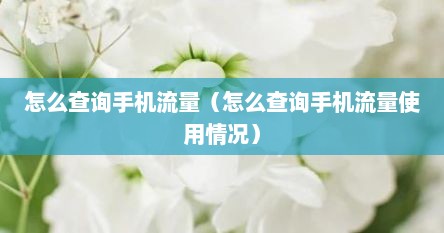 怎么查询手机流量（怎么查询手机流量使用情况）