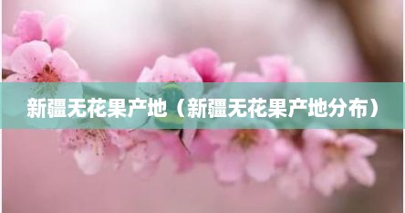 新疆无花果产地（新疆无花果产地分布）