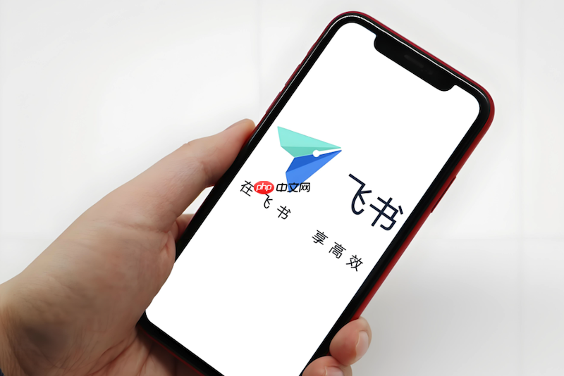 飞书文件上传异常如何解决 飞书文件传输优化技巧