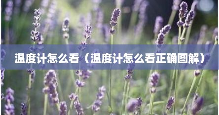 温度计怎么看（温度计怎么看正确图解）