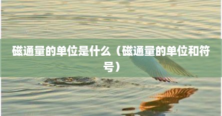 磁通量的单位是什么（磁通量的单位和符号）