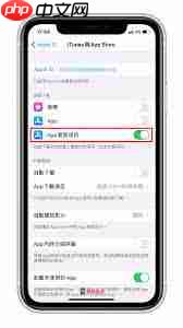 iPhone15如何设置APP自动更新