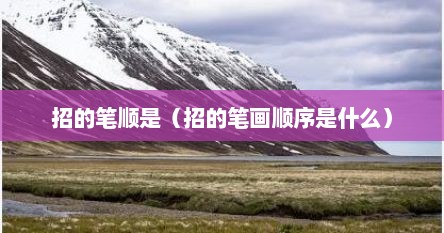 招的笔顺是（招的笔画顺序是什么）
