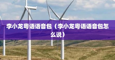 李小龙粤语语音包（李小龙粤语语音包怎么说）