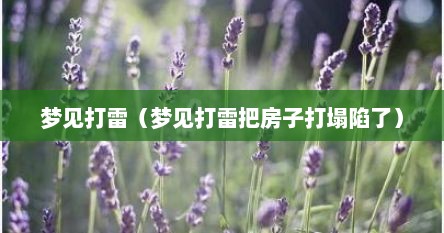 梦见打雷（梦见打雷把房子打塌陷了）