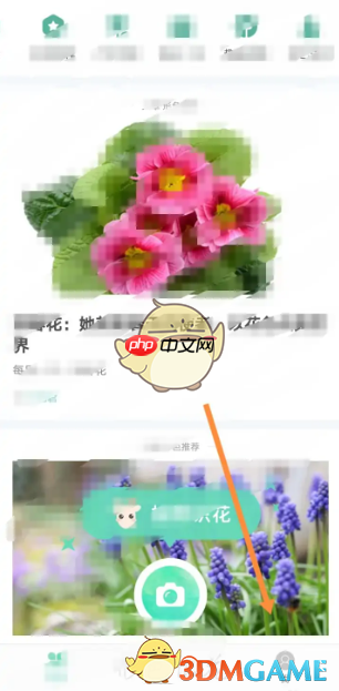 《形色》权限设置方法