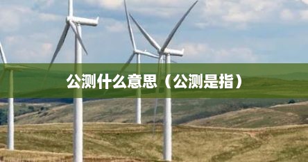 公测什么意思（公测是指）