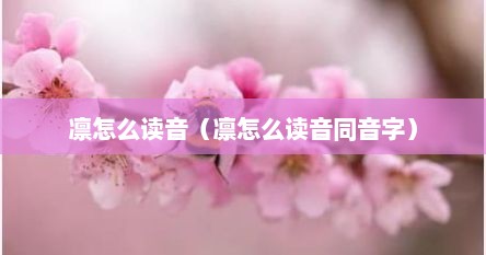 凛怎么读音（凛怎么读音同音字）