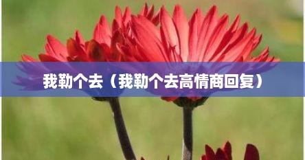 我勒个去（我勒个去高情商回复）