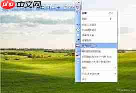 FastStone Capture屏幕标尺如何使用