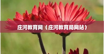 庄河教育网（庄河教育局网站）