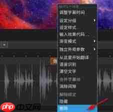 arctime如何删除字幕