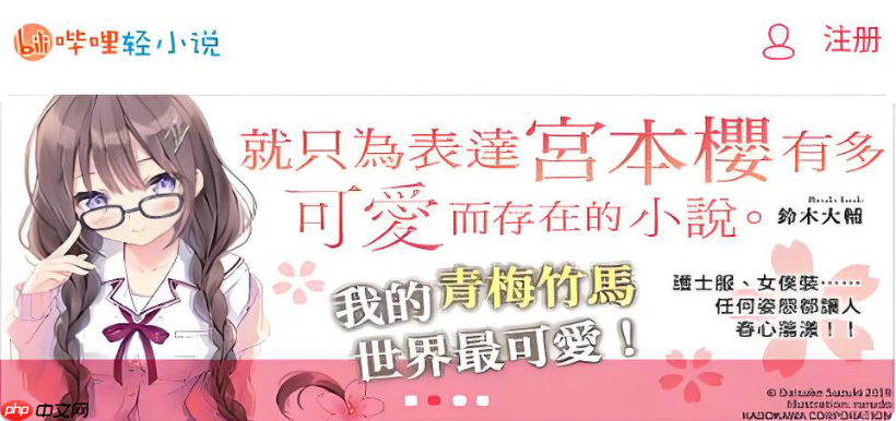 哔哩轻小说有广告怎么屏蔽 哔哩轻小说纯净绿色阅读设置【攻略】