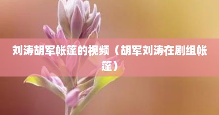刘涛胡军帐篷的视频（胡军刘涛在剧组帐篷）