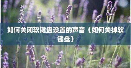 如何关闭软键盘设置的声音（如何关掉软键盘）