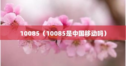 10085（10085是中国移动吗）