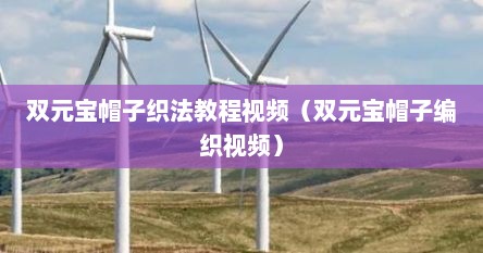 双元宝帽子织法教程视频（双元宝帽子编织视频）