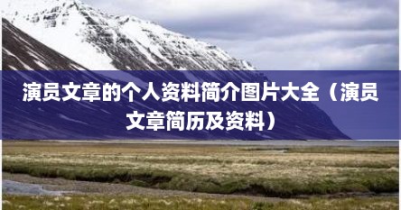 演员文章的个人资料简介图片大全（演员文章简历及资料）