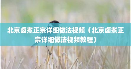 北京卤煮正宗详细做法视频（北京卤煮正宗详细做法视频教程）