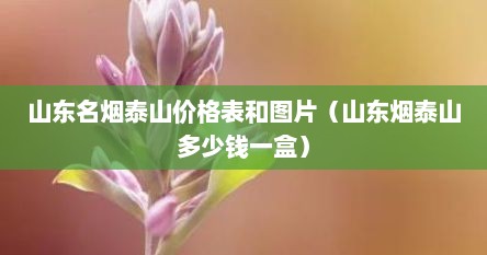山东名烟泰山价格表和图片（山东烟泰山多少钱一盒）