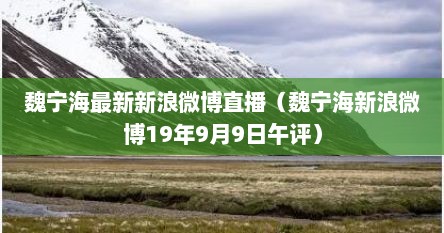 魏宁海最新新浪微博直播（魏宁海新浪微博19年9月9日午评）
