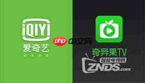 爱奇艺会员与银河奇异果会员是否相同