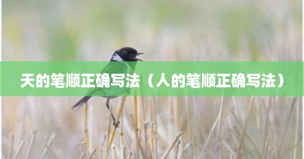 天的笔顺正确写法（人的笔顺正确写法）